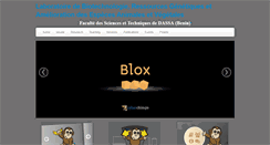 Desktop Screenshot of biorave.org